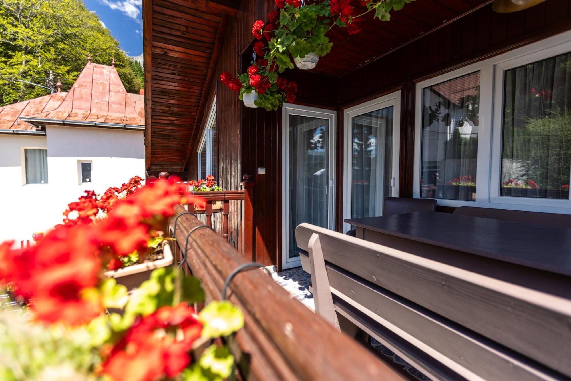 Villa Falco Bianco Szászbuda Kültér fotó