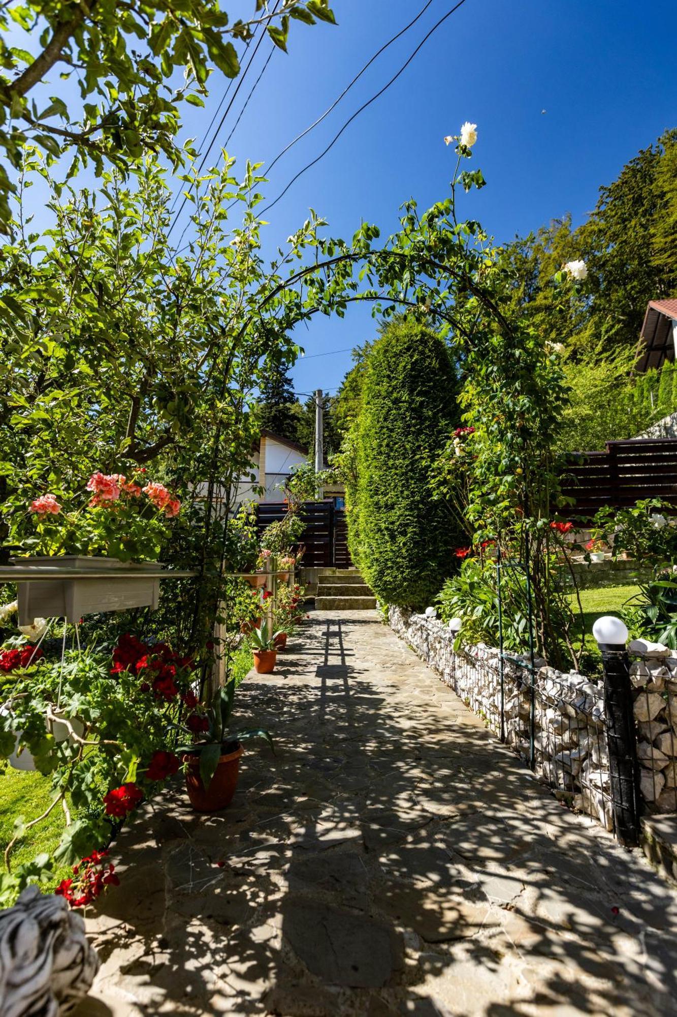Villa Falco Bianco Szászbuda Kültér fotó