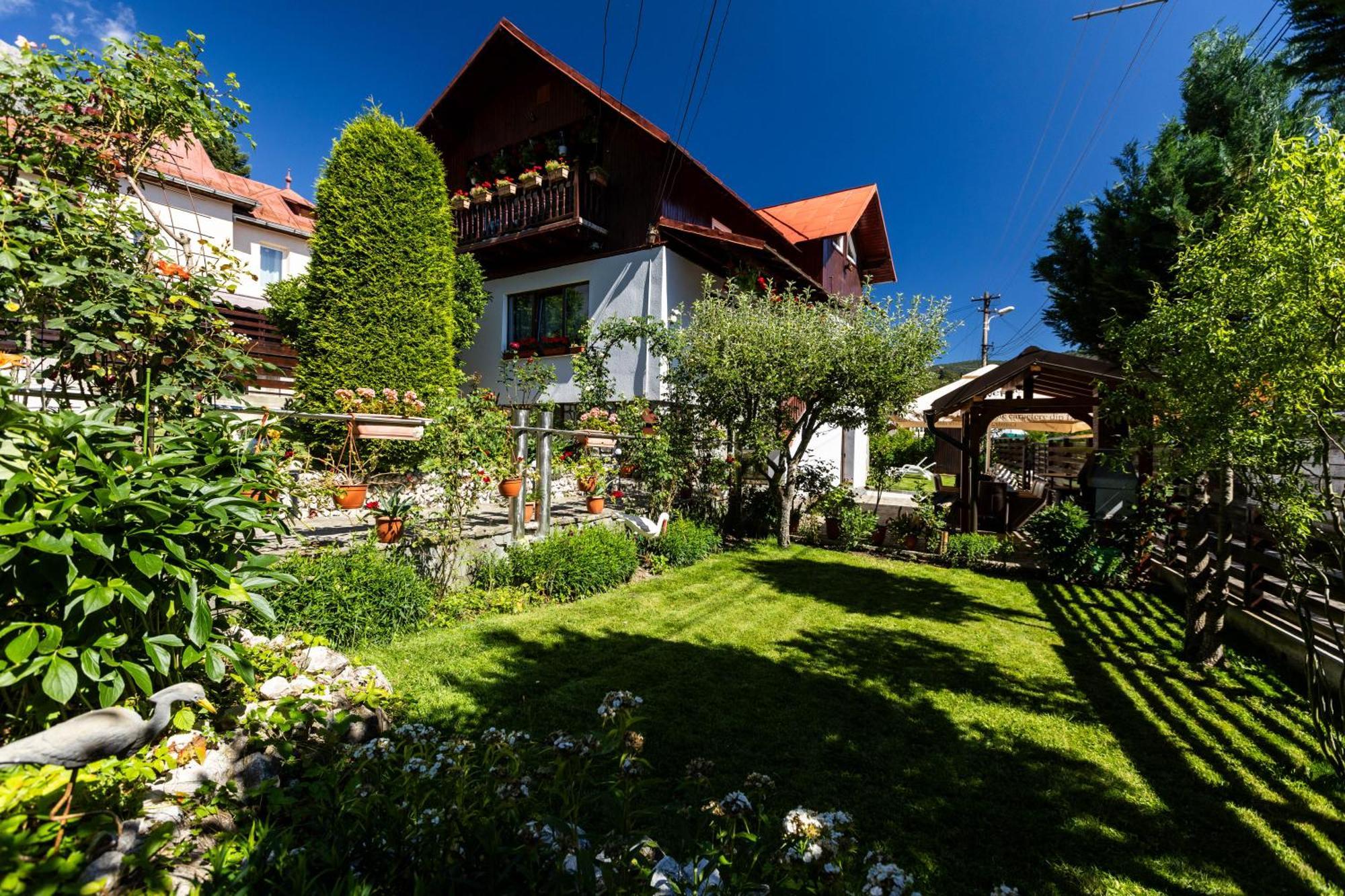 Villa Falco Bianco Szászbuda Kültér fotó